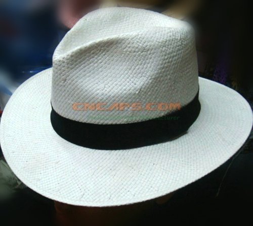 The Paper Straw Panama Hat