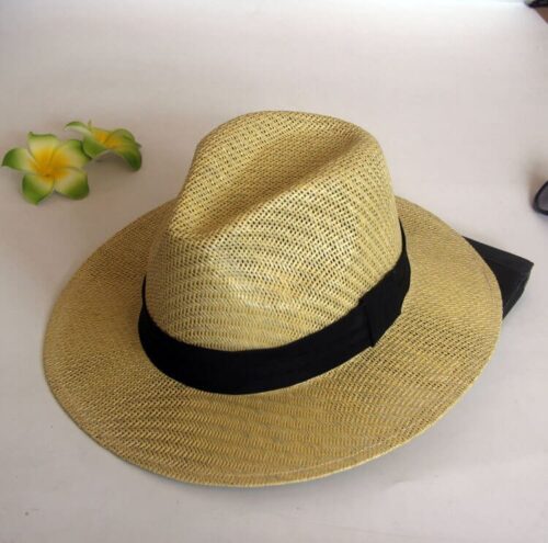 wide brim panama hat