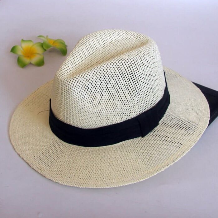 wide brim panama hat