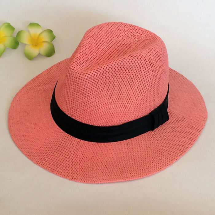 wide brim panama hat