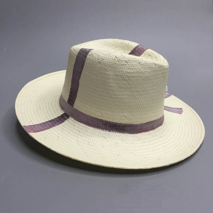 Hand Drawing Panama hat