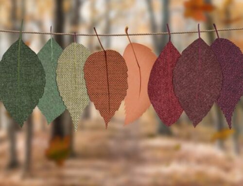 Why Going Green: Top Eco Friendly Textiles Material and Production for Clothes, Accessories