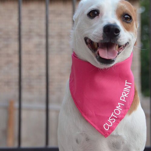 personalized dog bandanas