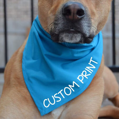 personalized bandanas for dog