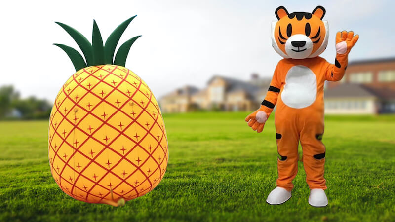 custom mascots costumes wholesale