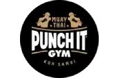 punchitlogo